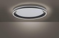 Lampa sufitowa Q-VITO 1 - punktowa antracyt PaulNeuhaus - 8416-13