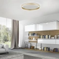 Lampa sufitowa Q-VITO 1 - punktowa mosiądz matowy PaulNeuhaus - 8416-60
