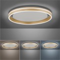 Lampa sufitowa Q-VITO 1 - punktowa mosiądz matowy PaulNeuhaus - 8416-60
