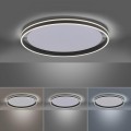 Lampa sufitowa Q-VITO 1 - punktowa antracyt PaulNeuhaus - 8418-13