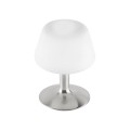 Lampa stołowa TILL 1 - punktowa srebrny PaulNeuhaus - 4078-55