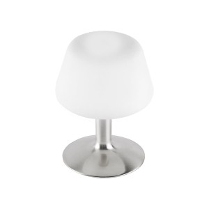 Lampa stołowa TILL 1 - punktowa srebrny PaulNeuhaus - 4078-55