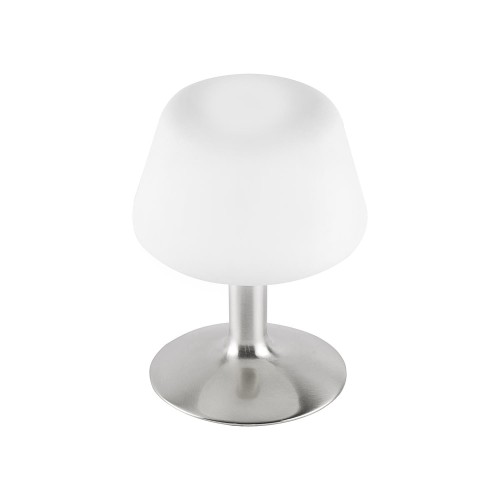 Lampa stołowa TILL 1 - punktowa srebrny PaulNeuhaus - 4078-55
