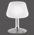 Lampa stołowa TILL 1 - punktowa srebrny PaulNeuhaus - 4078-55