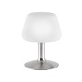 Lampa stołowa TILL 1 - punktowa srebrny PaulNeuhaus - 4078-55