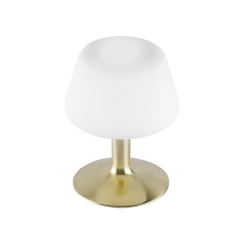 Lampa stołowa TILL 1 - punktowa mosiądz matowy PaulNeuhaus - 4078-60