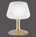 Lampa stołowa TILL 1 - punktowa mosiądz matowy PaulNeuhaus - 4078-60
