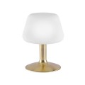 Lampa stołowa TILL 1 - punktowa mosiądz matowy PaulNeuhaus - 4078-60