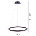 Lampa wisząca sufitowa TITUS 1 - punktowa antracyt PaulNeuhaus - 2382-13