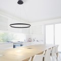 Lampa wisząca sufitowa TITUS 1 - punktowa antracyt PaulNeuhaus - 2382-13