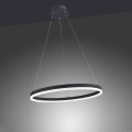 Lampa wisząca sufitowa TITUS 1 - punktowa antracyt PaulNeuhaus - 2382-13