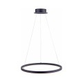 Lampa wisząca sufitowa TITUS 1 - punktowa antracyt PaulNeuhaus - 2382-13
