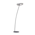 Lampa podłogowa stojąca TITUS 1 - punktowa antracyt PaulNeuhaus - 381-13