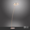 Lampa podłogowa stojąca TITUS 1 - punktowa antracyt PaulNeuhaus - 381-13