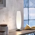 Lampa stołowa TYRA 1 - punktowa srebrny PaulNeuhaus - 4027-55