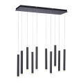 Lampa wisząca sufitowa BRUNO 10 - punktowa czarny LeuchtenDirekt - 15206-18