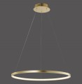 Lampa wisząca sufitowa CIRCLE 1 - punktowa złoty LeuchtenDirekt - 11524-12