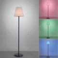 Lampa podłogowa stojąca HOLLY 1 - punktowa czarny LeuchtenDirekt - 19826-18