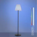 Lampa podłogowa stojąca HOLLY 1 - punktowa czarny LeuchtenDirekt - 19826-18