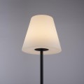 Lampa podłogowa stojąca HOLLY 1 - punktowa czarny LeuchtenDirekt - 19826-18