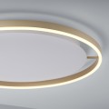 Lampa sufitowa RITUS 1 - punktowa mosiądz matowy LeuchtenDirekt - 15392-60