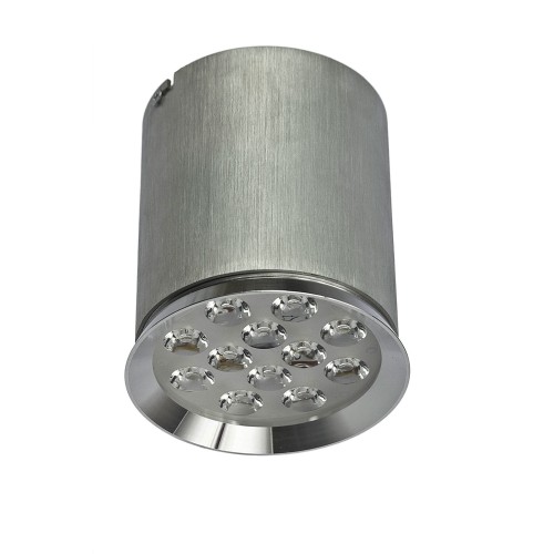 Lampa sufitowa CHLOE 12LED 12W 60° SLI032001WW_60ST Spectrum