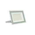 Naświetlacz NOCTIS LUX 3 50W IP65 biały SLI029055NW_PW Spectrum