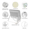 Naświetlacz NOCTIS LUX 2 50W IP44 biały czujnik ruchu PIR SLI029044CW_CZUJNIK Spectrum