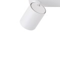Snow 3 spot b Light Prestige