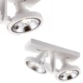 Spot MASTER 111-2 SL ACGU10-183-N Zuma Line