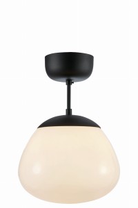 Lampa sufitowa RISE Ceiling 1L Biały/Czarny 108543 Markslojd