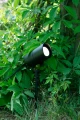 Lampa zewnętrzna ogrodowa dogruntowa UNITE 12 Spot 3W Czarny 108639 Markslojd