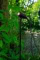 Lampa zewnętrzna ogrodowa dogruntowa UNITE 12 Spot 60cm 0,8W Czarny 108641 Markslojd