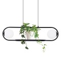 Lampa wisząca FINESTRA źródło światła E27 K-4961 KAJA Lighting