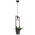 Lampa wisząca ESTERA źródło światła E27 K-4038 KAJA Lighting