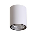 Lampa zewnętrzna natynkowa Fano 4K  IP54 OPN-2006-4K Italux