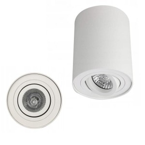 Lampa sufitowa / natynkowa BROSS 1 biały AZ0858 Azzardo