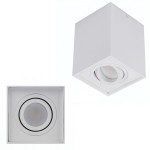 Lampa wewnętrzna / natynkowa ELOY 1 biały AZ0929 Azzardo