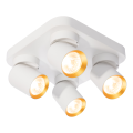 Lampa sufitowa Andy 4xGU10 Kwadrat Biały + Złoty ML9940 Milagro