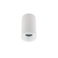 LAMPA SUFITOWA ŁAZIENKOWA ALPHA WHITE IP54 BIAŁA 8362 Nowodvorski