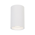 Spot GENESIS WHITE 1xGU10 10cm ML0382 Milagro