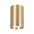 Spot GENESIS GOLD 1xGU10 10cm ML0383 Milagro