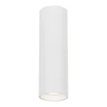 Spot GENESIS WHITE 1xGU10 20cm ML0385 Milagro