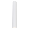 Spot GENESIS WHITE 1xGU10 30cm ML0391 Milagro