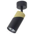 Spot NEO BLACK GOLD 1xGU10 ML0280 Milagro