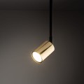 Lampa reflektor na szynę TRACER 1 obwodowy Czarny / złoty 4920 TK Lighting