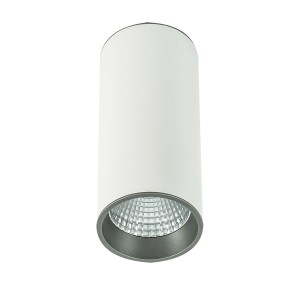 Lampa sufitowa Natynkowa Biały, szary Moldes Big WH/GR Ceiling 4000K LED SLC7392/12W 4000K WH+GR ITALUX