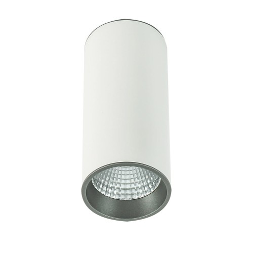 Lampa sufitowa Natynkowa Biały, szary Moldes Big WH/GR Ceiling 4000K LED SLC7392/12W 4000K WH+GR ITALUX