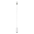 Lampa wisząca Biały, szary Moldes Medium WH/GR Pendant 3000K LED HL7718/7W 3000K WH+GR ITALUX