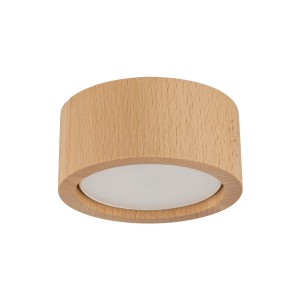 EVE WOOD BUK SPOT 10123 TK Lighting